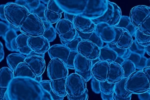 Рак и его виды