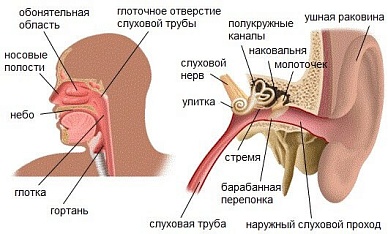 Лечение острых заболеваний лор-органов